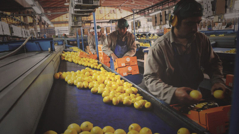 Que se declare la emergencia laboral en la provincia