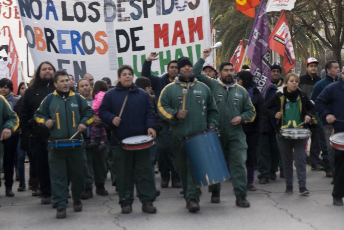 MAM: madereros que se plantan