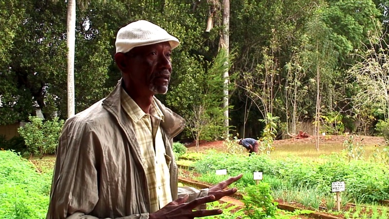 Agroecología en Cuba: una historia contada por sus protagonistas