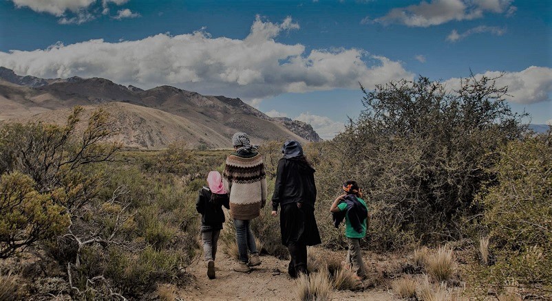 “El problema que tienen es que vendieron la tierra con los indios adentro”