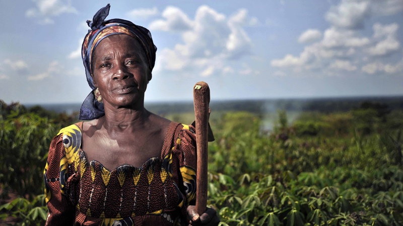 Según estudio, el 70 % de la población mundial come de la mano de la agricultura campesina