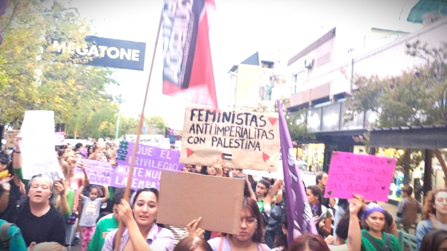 Miles de mujeres y disidencias coparon las calles en Río Negro