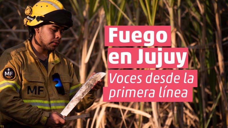 [Vídeo] Fuego en Jujuy: voces desde la primera línea 