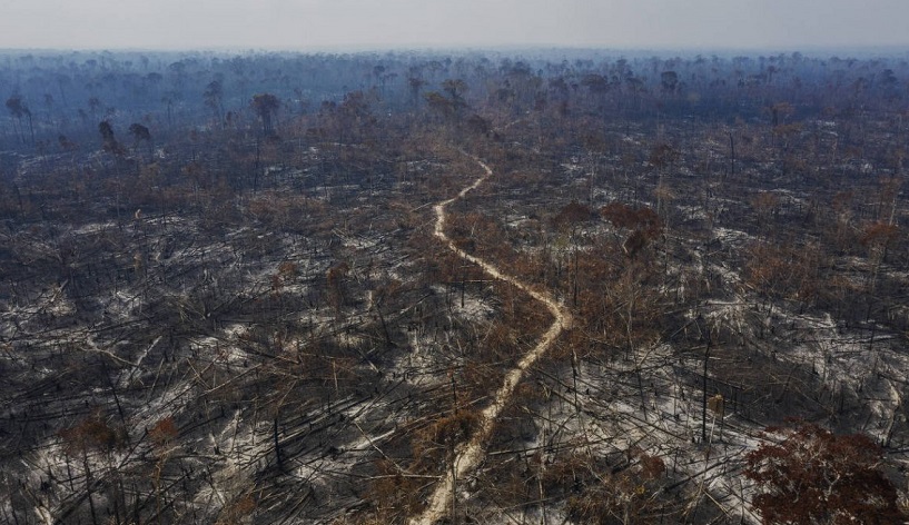 La deforestación en la Amazonía llegó a 10.000 km2 por año con Bolsonaro