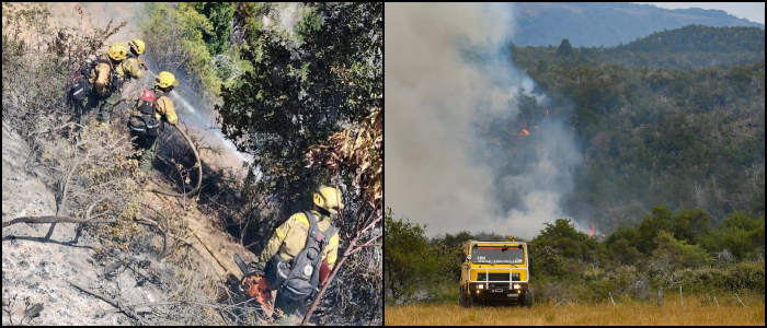 Incendio en Los Alerces: Ya son 8000 hectáreas afectadas por el incendio