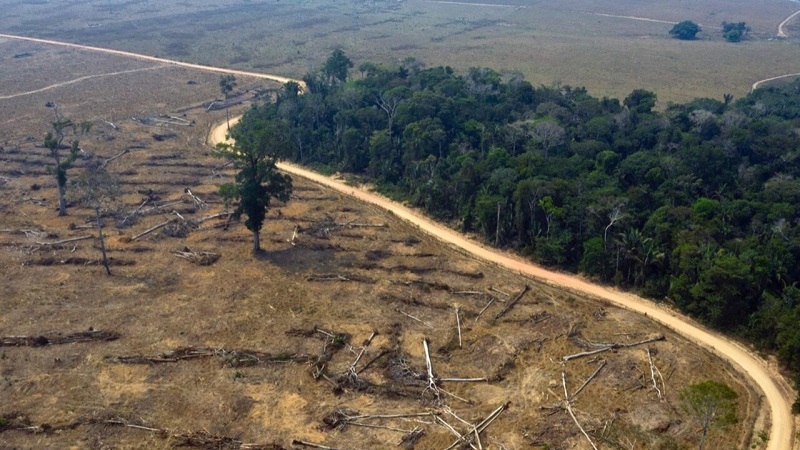 El desmantelamiento de la Amazonía en septiembre fue el mayor de la historia reciente