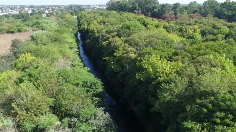 Reserva Natural Urbana El Palomar en estado de alerta