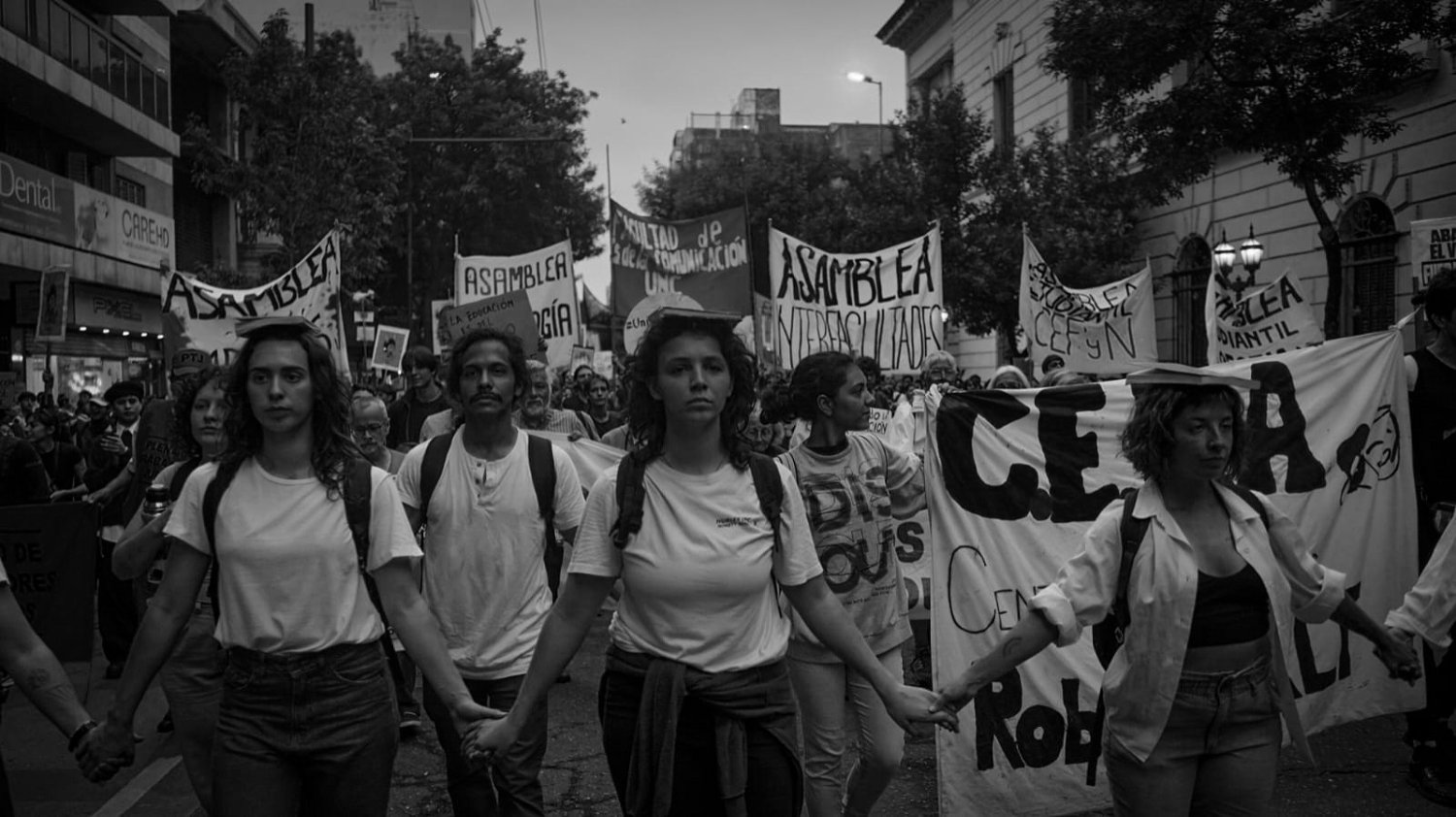 Aportes y visiones de la lucha universitaria 