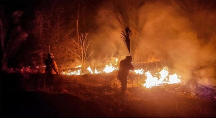 Incendios en Bolivia: el capitalismo destruye el planeta, destruyamos el capitalismo