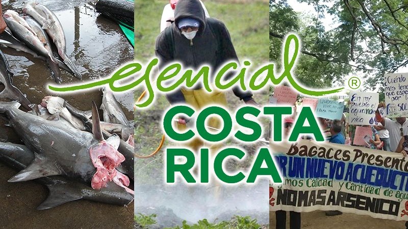 Las mentiras detrás del discurso de una Costa Rica “verde y sostenible”