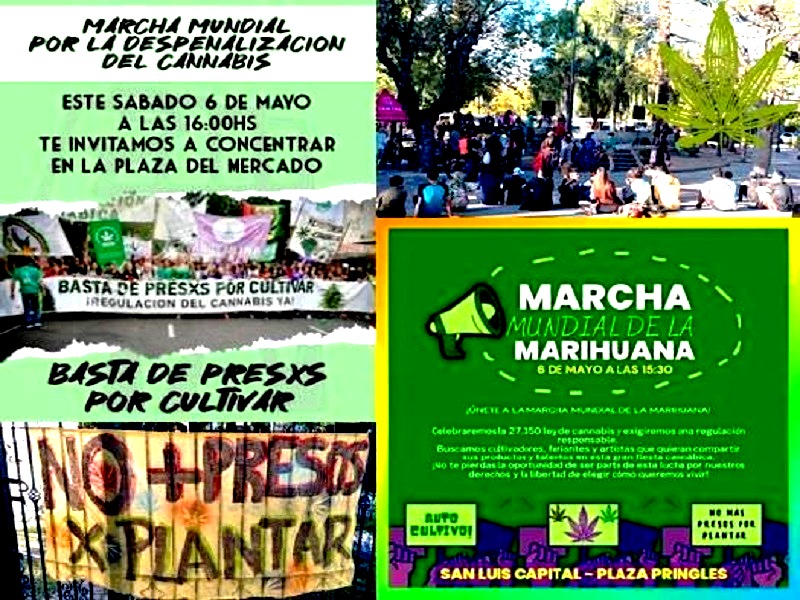 San Luis volvió a marchar, exigiendo el autocultivo de la Marihuana