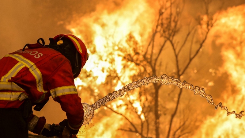 Ola infernal: 25 mil hectáreas quemadas y más de 500 muertos en Estado español