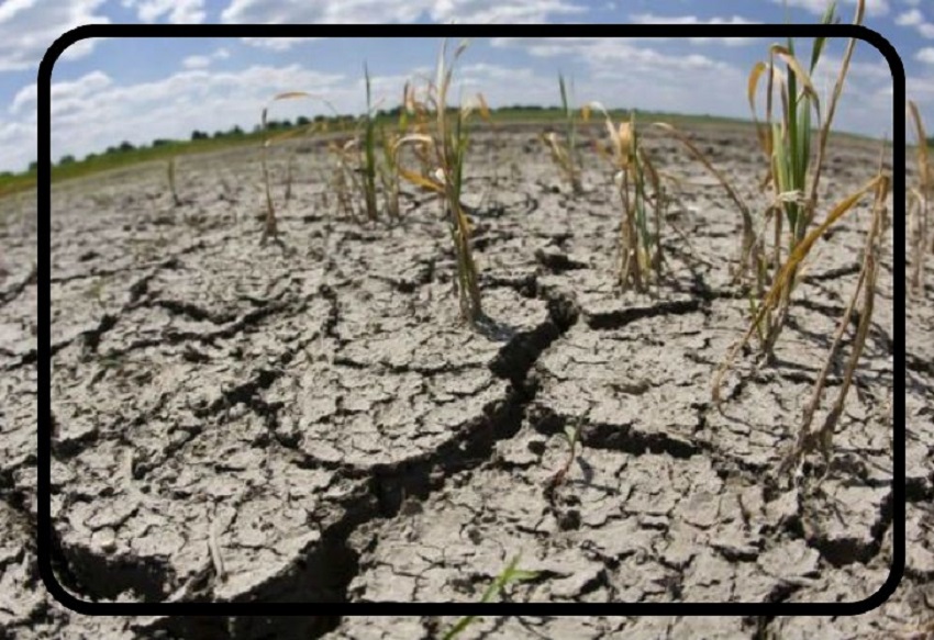 Sequía histórica: las patronales del campo piden más beneficios para resguardar sus ganancias