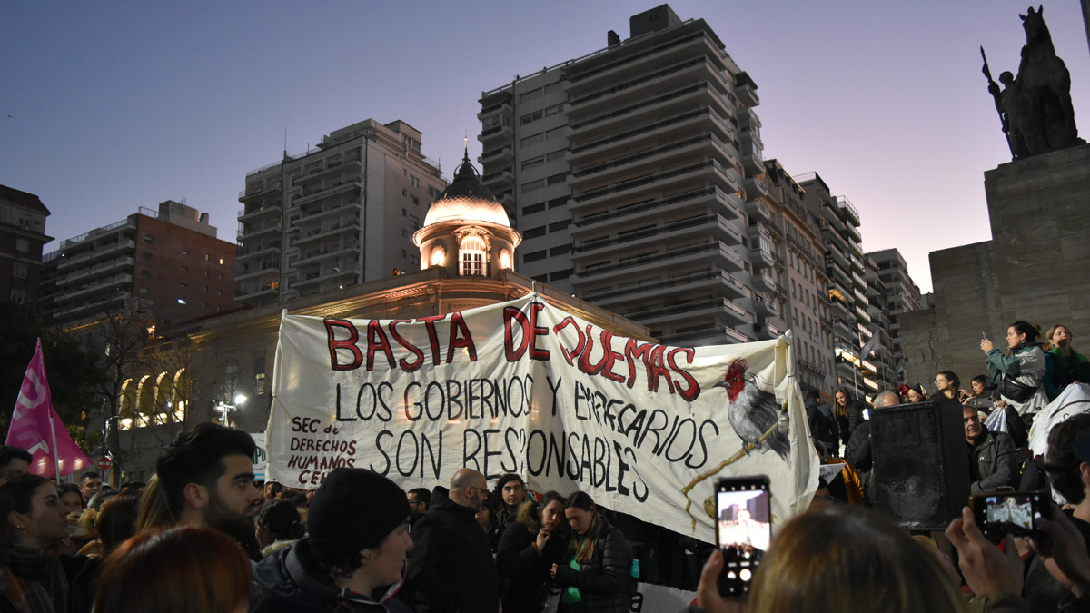 Humedales: el negocio de quemar y la bronca que brota en las calles