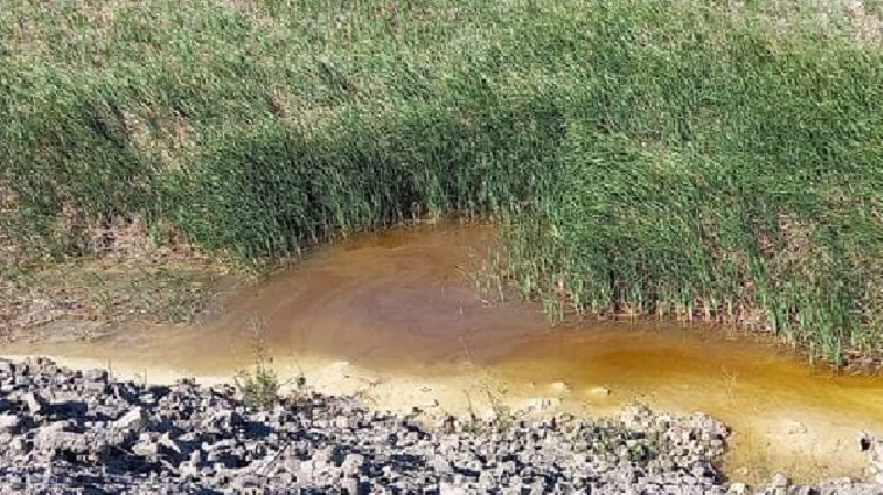 Allanaron Acindar por denuncia de contaminación