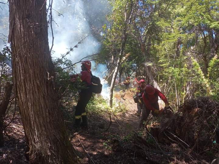 Trabajadores contra el incendio: Una semana de combate contra el fuego en Los Alerces