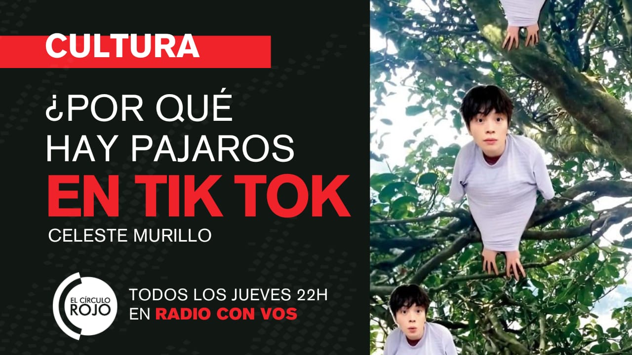 ¿Qué hay detrás de los pájaros chinos de Tik Tok?