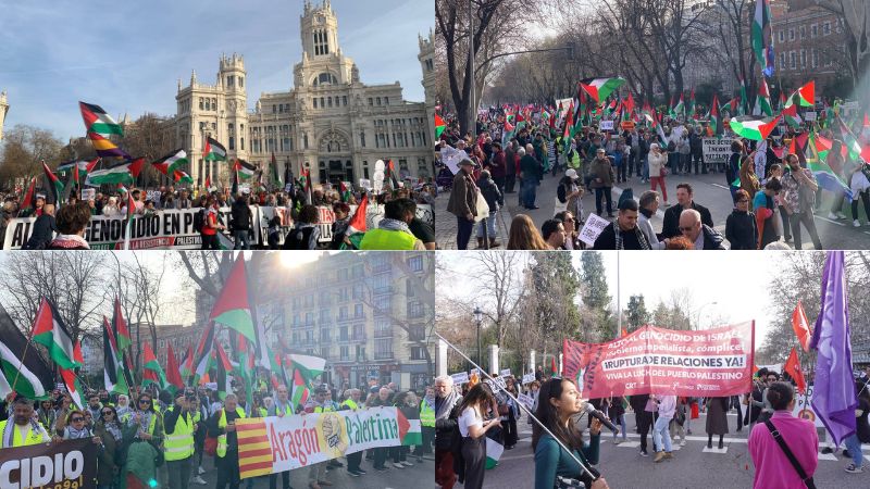 Masiva manifestación estatal por Palestina en Madrid