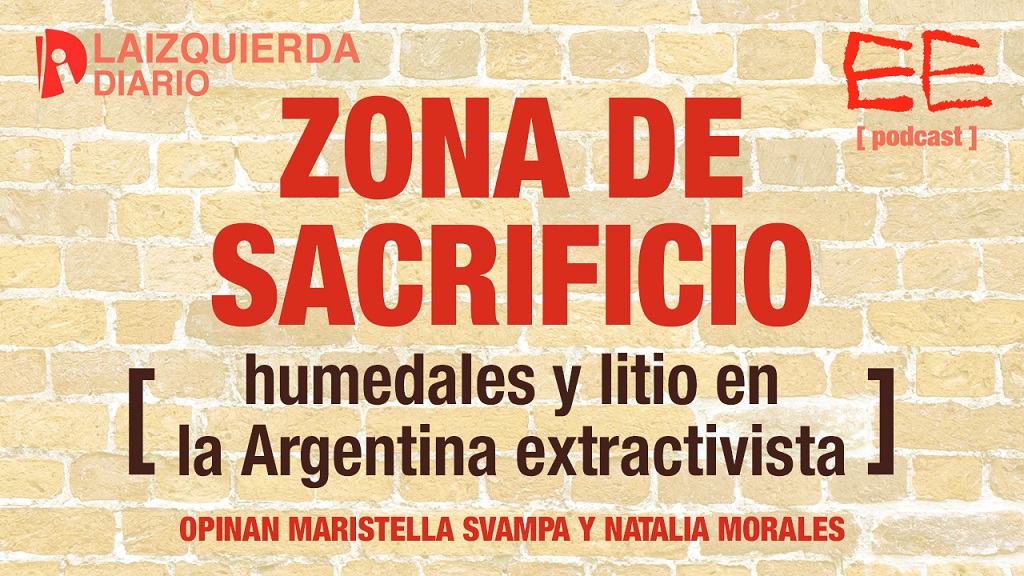 Zona de sacrificio: humedales y litio en la Argentina extractivista