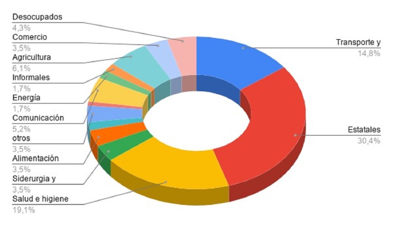 Gráfico N°5: Porcentaje de conflictividad según rama productiva. Elaboración propia en base a medios nacionales y provinciales