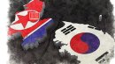 Corea: historias de dos países, historia de una nación