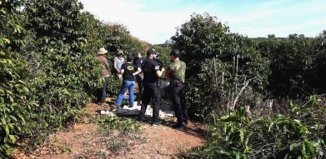 Starbucks emite certificado de calidad a finca que utiliza mano de obra esclava en Brasil