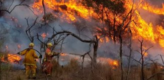 Un funcionario del Gobierno criticó el accionar del oficialismo en los incendios: “No lo hemos hecho bien”