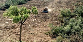 Diputados aprueban la nueva ley de Ordenamiento Territorial de Bosques Nativos habilitando 720 mil hectáreas para el desmonte.