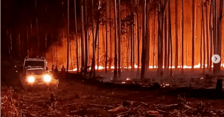 Corrientes arde y los monocultivos avanzan 