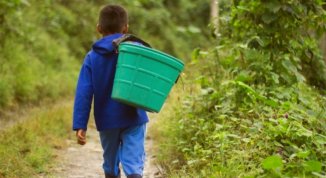 Trabajo infantil: el lado oculto del boom del citrus en Tucumán