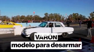 Varón: modelo para desarmar