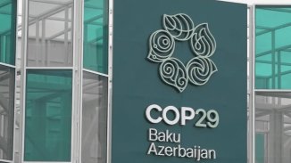 COP 29. Cuando la "diplomacia climática" capitalista no puede seguir engañándonos