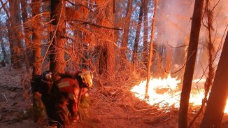 Odio, discriminación y criminalización: la “fórmula” de Torres, Bullrich y Milei para los incendios 