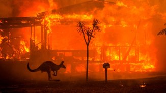 Australia bajo fuego: muertos, desaparecidos, miles de evacuados y millones de animales arrasados