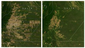 La NASA elige como imagen del día la deforestación en el Gran Chaco