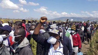 Huelga de los trabajadores migrantes del campo en Italia: “No somos carne de matadero”