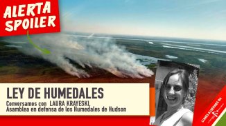 Laura Krayeski: "Los incendios se dan por el desmonte, el agronegocio y la especulación inmobiliaria"