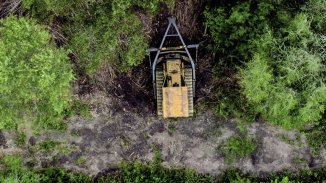 Ordenan frenar la actividad forestal en Chaco en defensa del bosque nativo