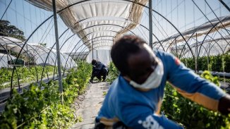 Los temporeros agrícolas que duermen en las calles del Estado español entre el frío y la pandemia