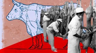 Crónica del matadero: cuando la carne de vaca vale más que la del obrero del frigorífico