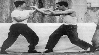 ¿Qué es Wing Chun?