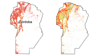 Bosques: proyecto del gobierno elimina la mitad de las zonas rojas