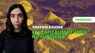 Greenwashing: la hipocrecía del CEO de Starbucks y el capitalismo verde