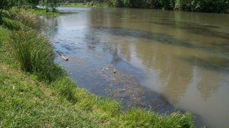 Contaminación del Río Ctalamochita: Entrevistamos al Director de Ambiente (Parte 1)