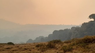 Las comunidades mapuche combaten el fuego en defensa de sus territorios