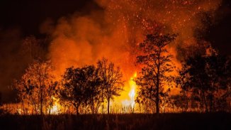 ¿Por qué no hay prevención ni respuestas adecuadas ante los incendios forestales?