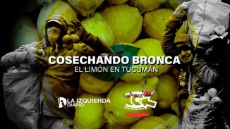 Documental: Cosechando bronca, el limón en Tucumán