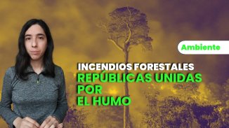 Repúblicas de la soja y el humo: graves incendios forestales en Brasil, Bolivia y Paraguay