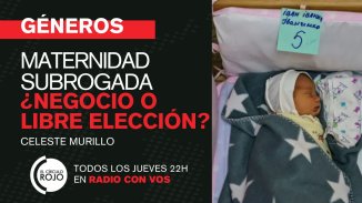 Maternidad subrogada: ¿libre elección o negocios?