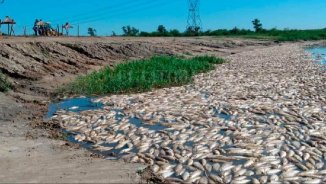 Detectan agrotóxicos en agua, peces y sedimentos del río Salado en Santa Fe